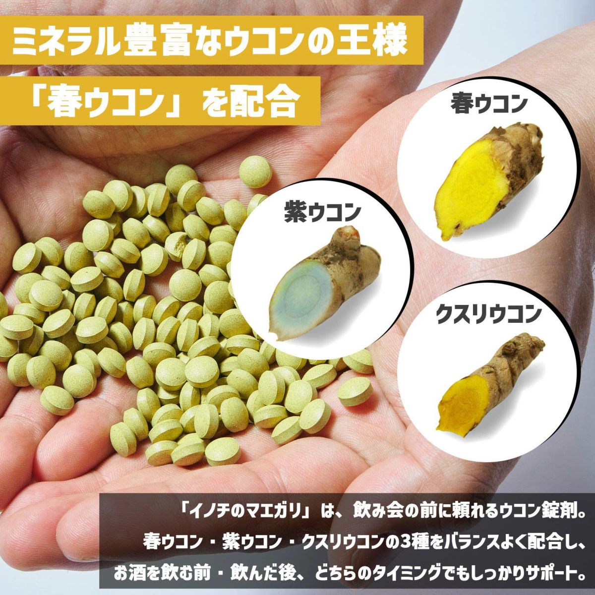 屋久島ウコン配合のウコンサプリ -イノチのマエガリ- 30粒入x3パック